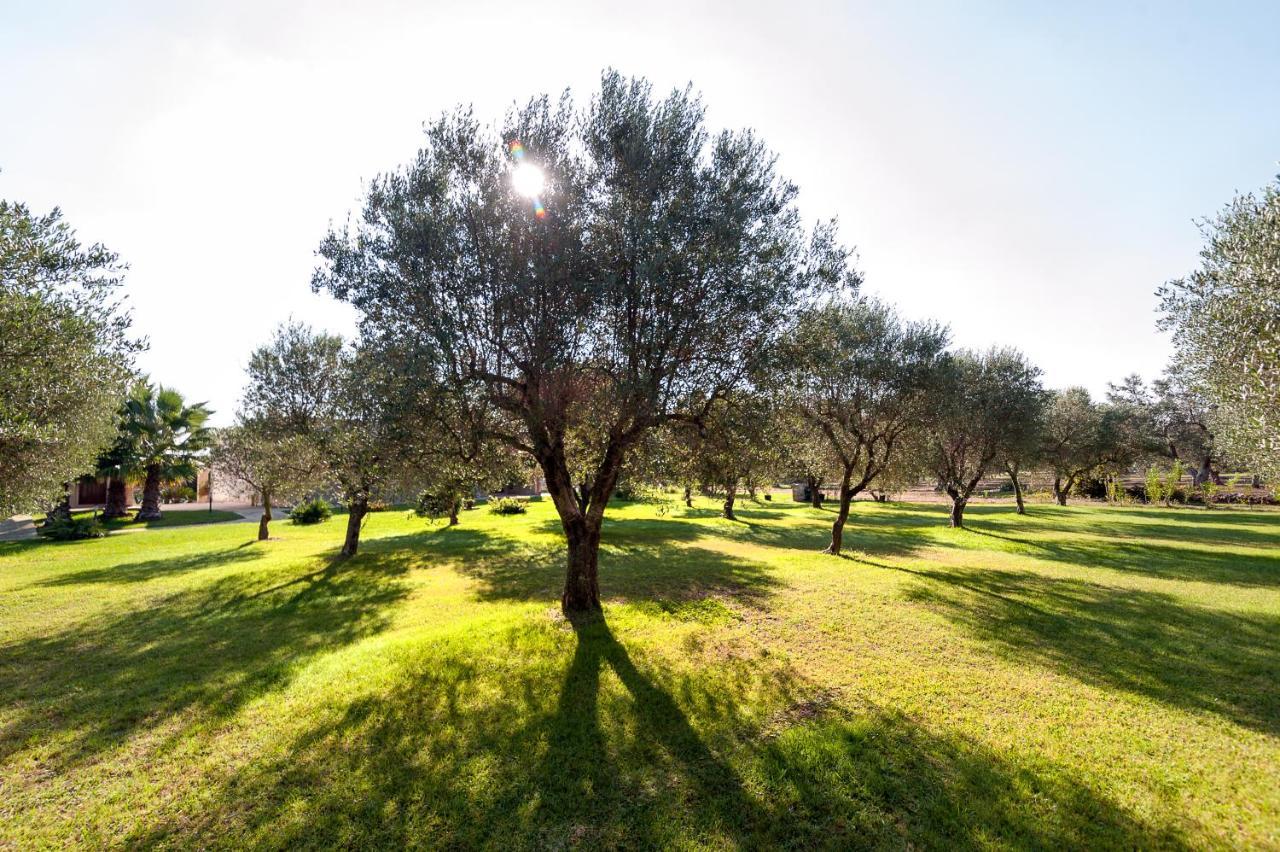Olive Garden House Villa Borgagne Buitenkant foto